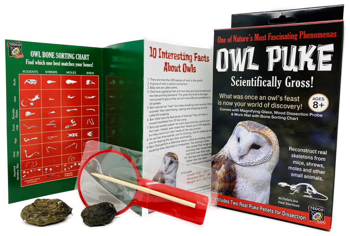 Owl Puke