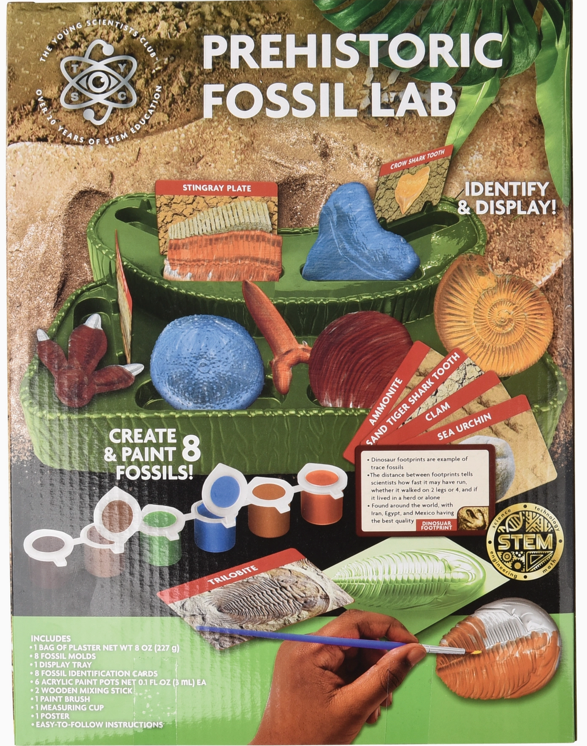 Fossil Lab