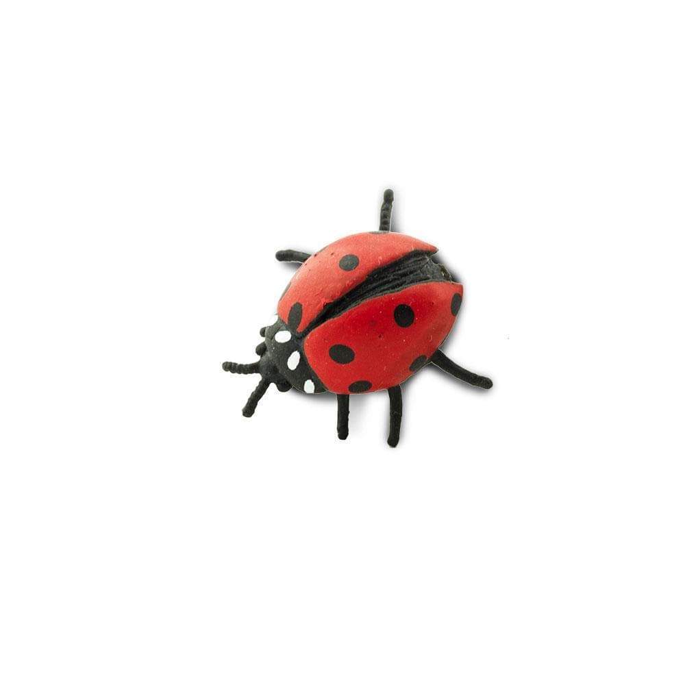 1 Good Luck Mini Individual